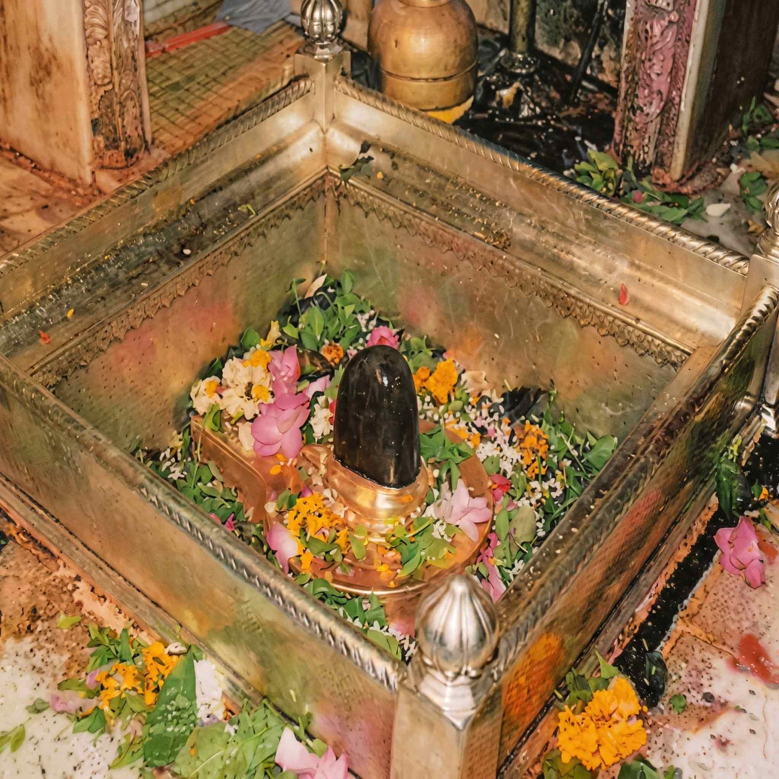Kashi Vishwanath Deity Lord Shiva Varanasi