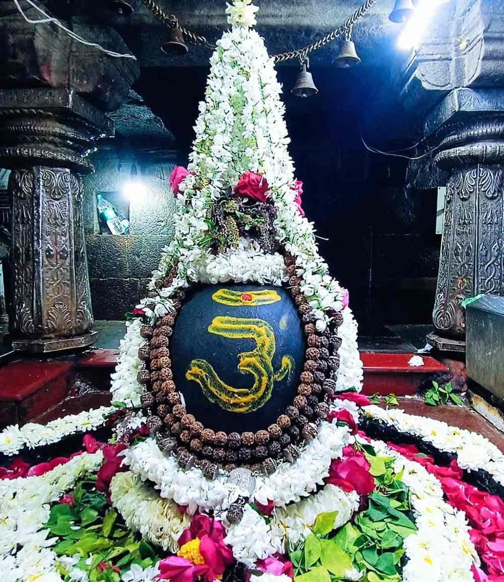 Murti at Nageshwar Jyotirlinga Temple